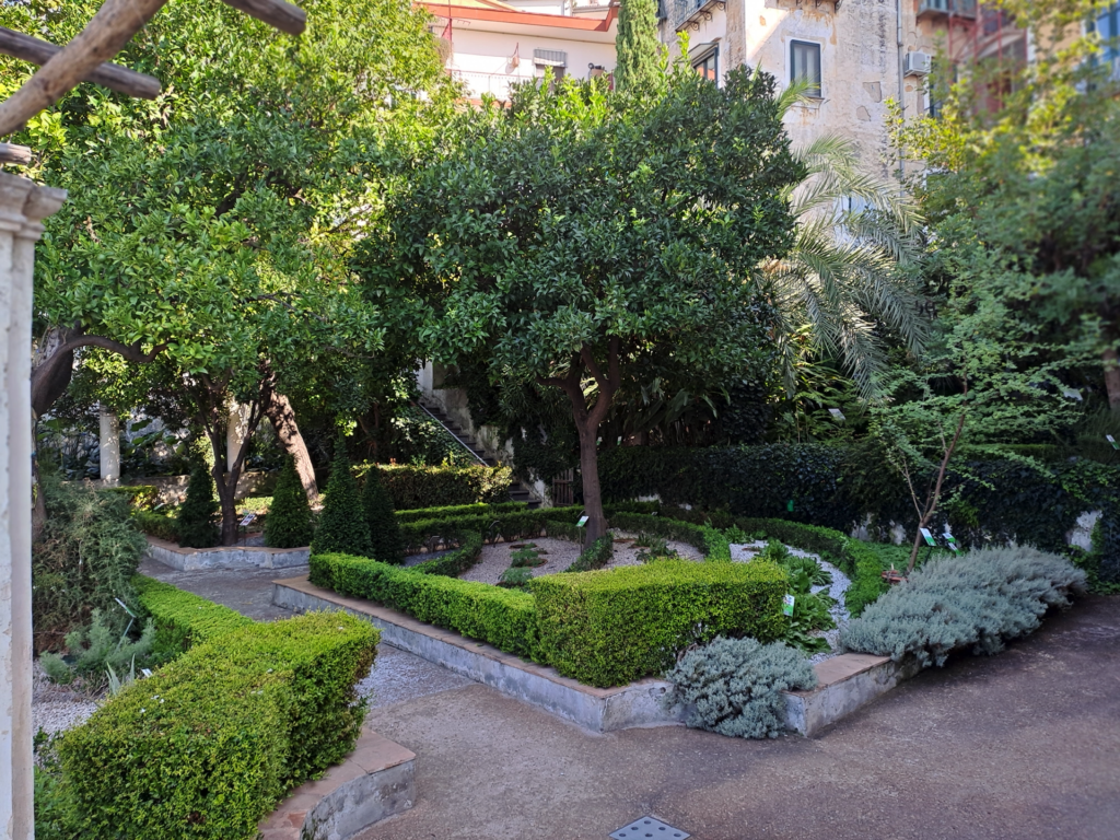 Il giardino della Minerva, Salerno